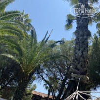 фото из отзыва ID 2713500