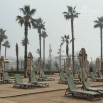 фото из отзыва ID 2713487