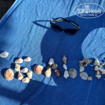 фото из отзыва ID 2713507