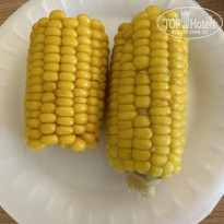 фото из отзыва ID 2713507