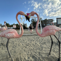 фото из отзыва ID 2713507