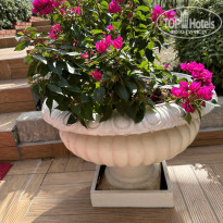 фото из отзыва ID 2713507