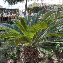 фото из отзыва ID 2713507