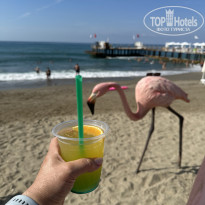 фото из отзыва ID 2713507