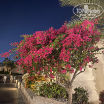 фото из отзыва ID 2713132