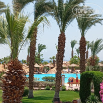 фото из отзыва ID 2713568