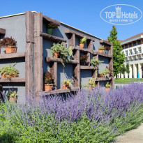 фото из отзыва ID 2713607