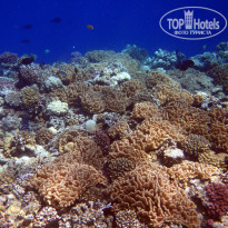 фото из отзыва ID 2713612