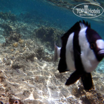 фото из отзыва ID 2713612