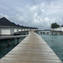 фото из отзыва ID 2713664