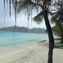 фото из отзыва ID 2713664