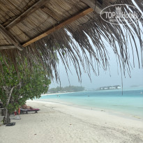 фото из отзыва ID 2713664