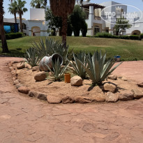 фото из отзыва ID 2713668