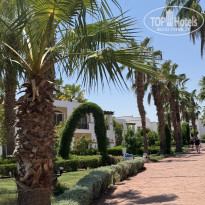 фото из отзыва ID 2713668