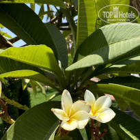 фото из отзыва ID 2713668