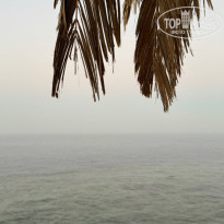 фото из отзыва ID 2713668