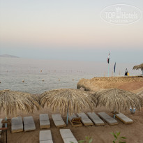 фото из отзыва ID 2713668