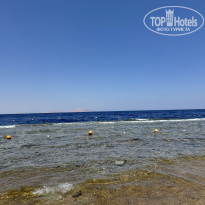 фото из отзыва ID 2713668