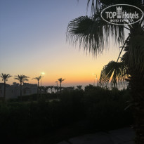 фото из отзыва ID 2713668