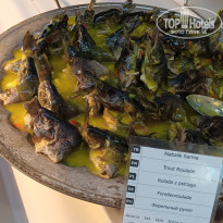 фото из отзыва ID 2713685