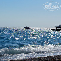 фото из отзыва ID 2713685