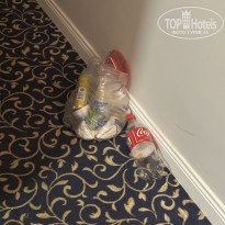 фото из отзыва ID 2713702