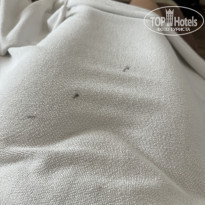 фото из отзыва ID 2713702