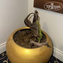 фото из отзыва ID 2713702