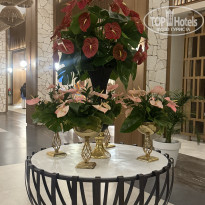 фото из отзыва ID 2713707