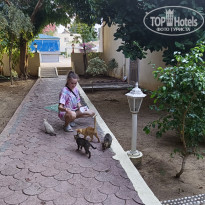 фото из отзыва ID 2713720