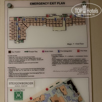 фото из отзыва ID 2713756