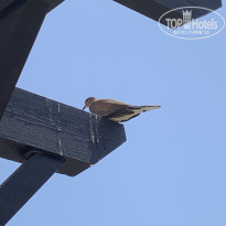 фото из отзыва ID 2713756