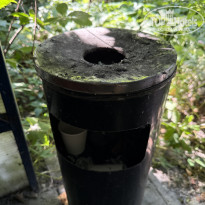 фото из отзыва ID 2713762