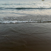 фото из отзыва ID 2713783