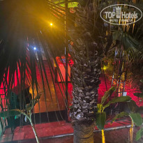 фото из отзыва ID 2713796