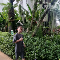 фото из отзыва ID 2713823