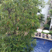 фото из отзыва ID 2713823