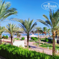 фото из отзыва ID 2713835