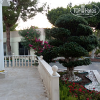 фото из отзыва ID 2713852