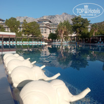 фото из отзыва ID 2713852