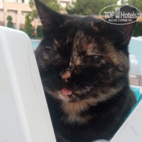 фото из отзыва ID 2713852