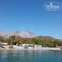 фото из отзыва ID 2713852