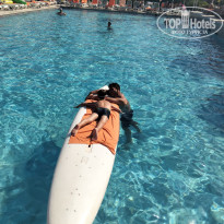 фото из отзыва ID 2713890