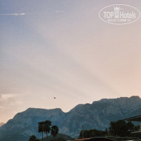 фото из отзыва ID 2713892