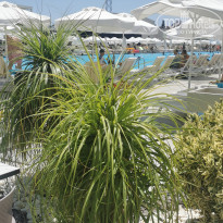 фото из отзыва ID 2713903