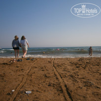 фото из отзыва ID 2713903