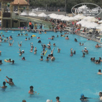 фото из отзыва ID 2713903