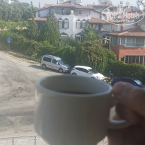 фото из отзыва ID 2713903