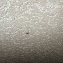 фото из отзыва ID 2713910