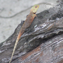 фото из отзыва ID 2713484